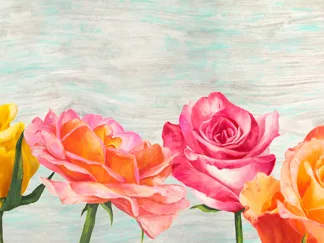 JENNY THOMLINSON - Funky Roses