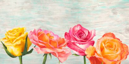 JENNY THOMLINSON - Funky Roses