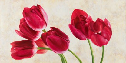 LUCA VILLA - Tulip Concerto