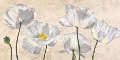 LUCA VILLA - Poppies in White