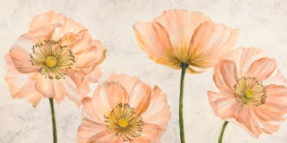 LUCA VILLA - Poppies in Pink