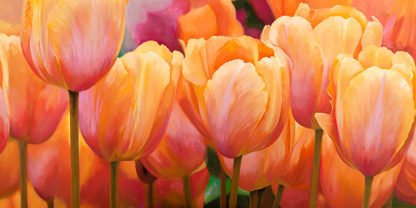 LUCA VILLA - Summer Tulips