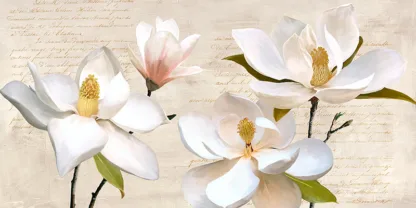 LUCA VILLA - Ivory Magnolia
