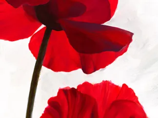 LUCA VILLA - Reds II