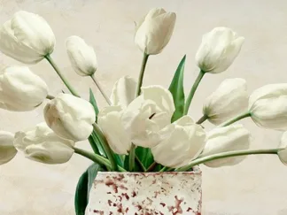 LEONARDO SANNA - Bouquet Blanc