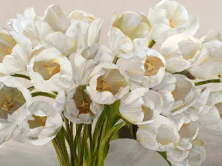 LEONARDO SANNA - Tulipes Blanches