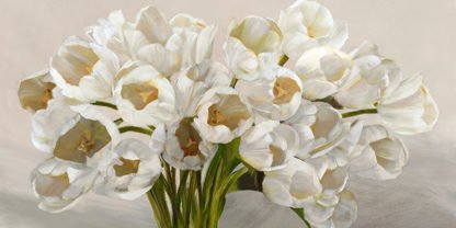 LEONARDO SANNA - Tulipes Blanches
