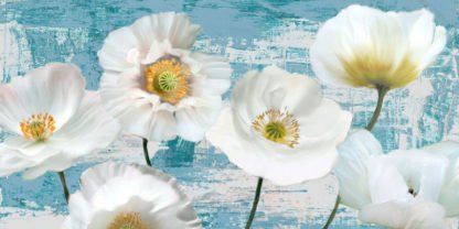 LEONARDO SANNA - Washed Poppies (Aqua)