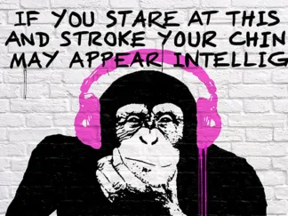 MASTERFUNK COLLECTIVE - Stroke your Chin
