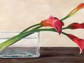 SHIN MILLS - Modern Composition, Callas