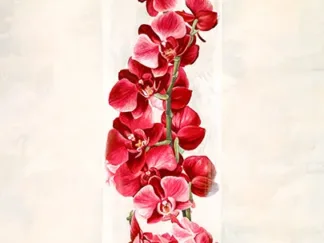 SHIN MILLS - Arrangement of Orchids