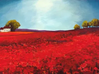 PHILIP BLOOM - Field of Poppies