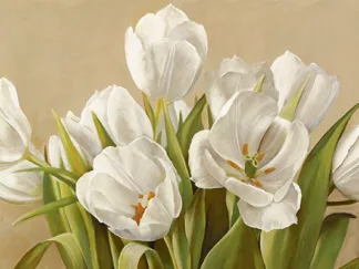 SERENA BIFFI -Tulipani Bianchi