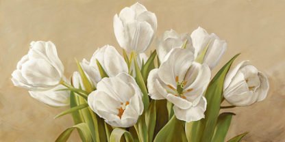 SERENA BIFFI -Tulipani Bianchi