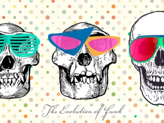 STEVEN HILL - The Evolution of Funk
