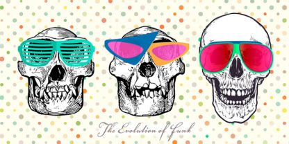 STEVEN HILL - The Evolution of Funk