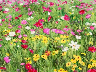 SILVIA MEI - Field of Flowers