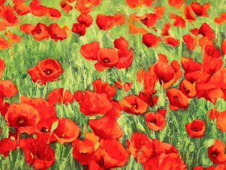 SILVIA MEI - Poppy Field