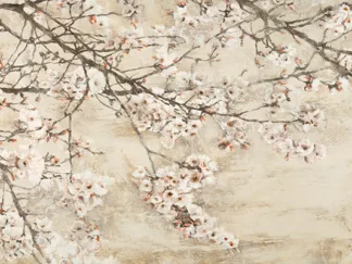 SILVIA MEI - Ciliegio in Fiore