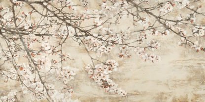 SILVIA MEI - Ciliegio in Fiore