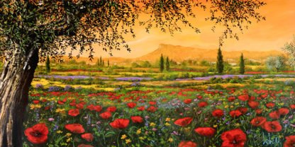 TEBO MARZARI - Pianura in Fiore