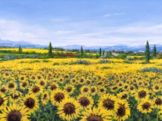TEBO MARZARI - Girasoli