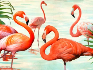 TEO RIZZARDI - Flamingos