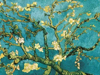 VINCENT VAN GOGH - Mandorlo in Fiore (detail)