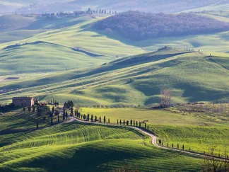 VADIM RATSENSKIY - A Road in Tuscany