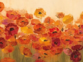 SILVIA VASSILEVA - Summer Poppies