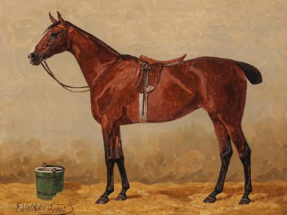EMIL VOLKERS - Bay in a Stable