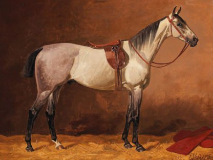 EMIL VOLKERS - Saddled Sport Horse