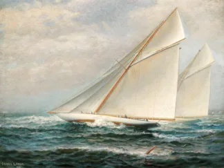 JAMES GALE TYLER - America's Cup Racing
