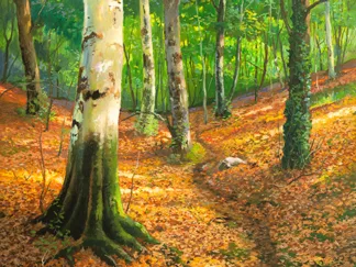 ADRIANO GALASSO - Sentiero nel Bosco