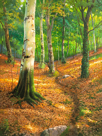 ADRIANO GALASSO - Sentiero nel Bosco