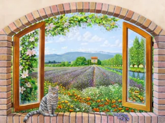 ANDREA DEL MISSIER - Finestra in Provenza