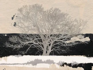 ALESSIO APRILE - Silver Tree