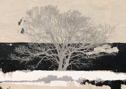 ALESSIO APRILE - Silver Tree