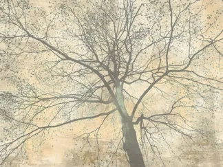 ALESSIO APRILE - Below my Tree II