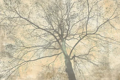 ALESSIO APRILE - Below my Tree II