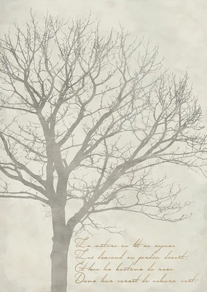 ALESSIO APRILE - Gautier's Tree I