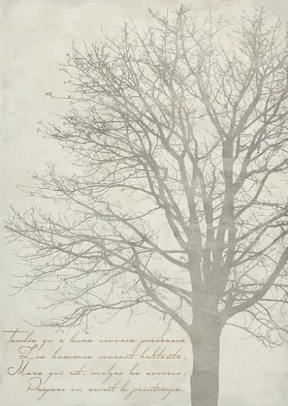 ALESSIO APRILE - Gautier's Tree II