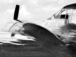 MONICA BORBOOR - Vintage Aircraft (Detail)
