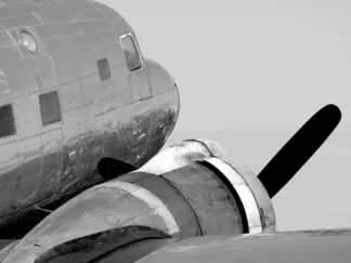 LUMINATE STUDIO - Vintage Propeller Airplane