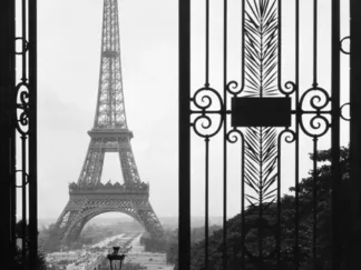 ANONYMOUS - Eiffel Tower from the Trocadero Palace, Paris