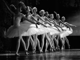 ANONYMOUS - Swan Lake Ballet