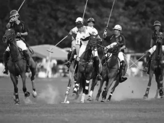ANONYMOUS - Polo Players, New York