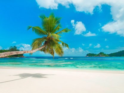 ANONYMOUS - Tropical Beach, Seychelles (detail)