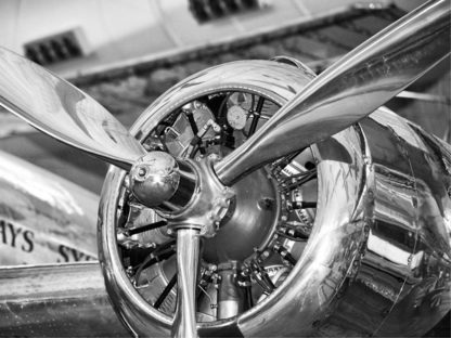 ANONYMOUS - Vintage Airplane Propeller