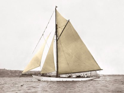 ANONYMOUS - Yacht on Sydney Harbour